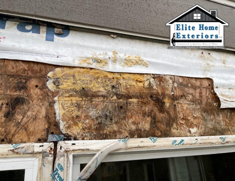 Mold Behind Siding: Repair Costs, Removal, and Replacement Options