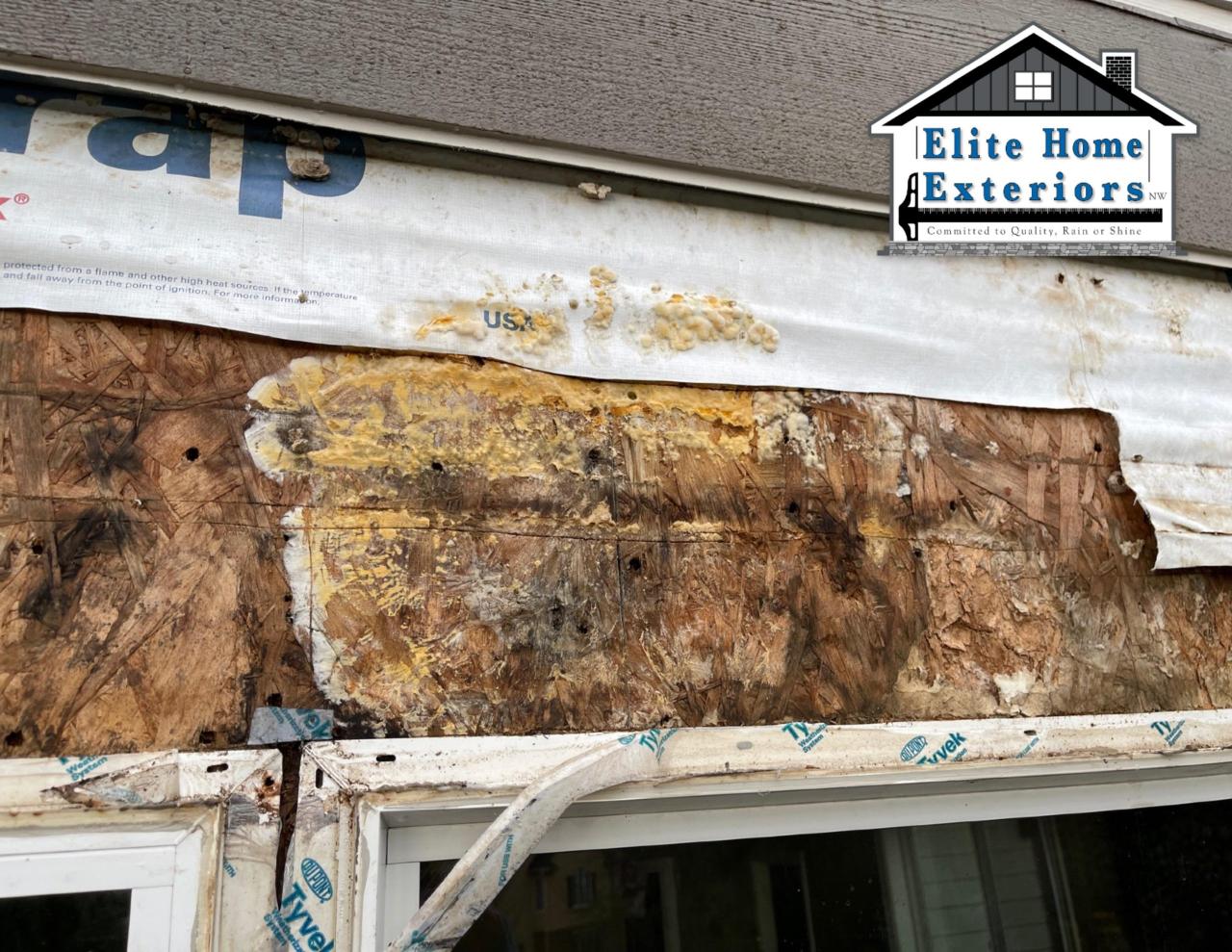 Mold Behind Siding: Repair Costs, Removal, and Replacement Options